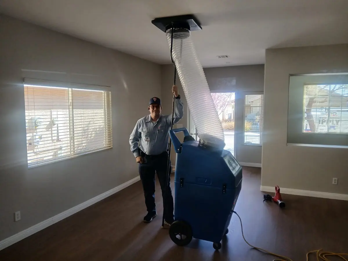 Professional Dryer Vent Cleaning work inside a Forest Acres home
